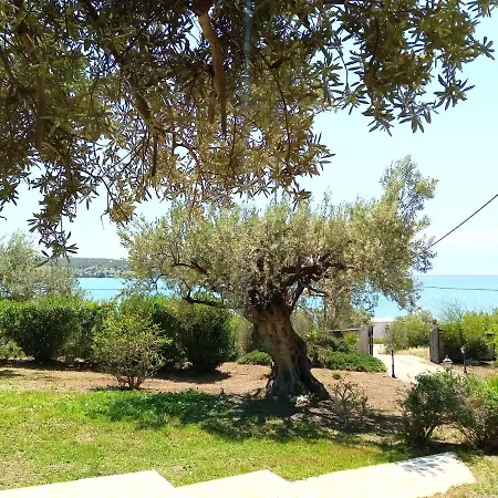Votsalo Summer House By The * Porto Heli