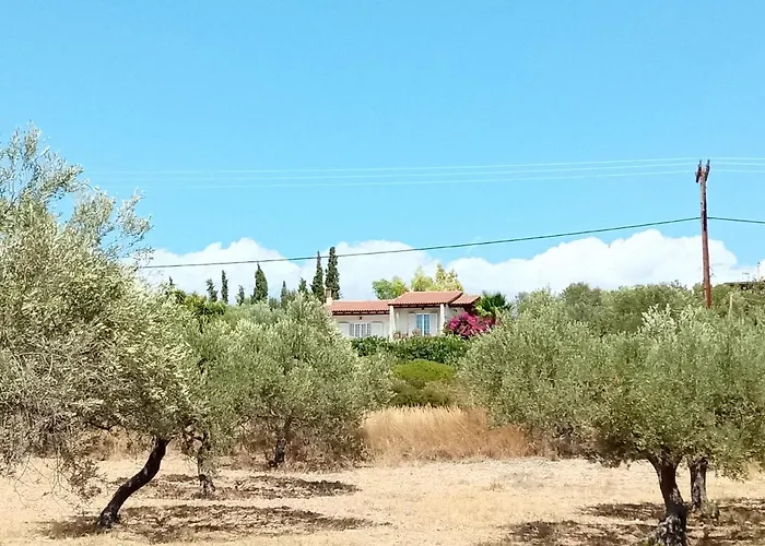 Votsalo Summer House By The *